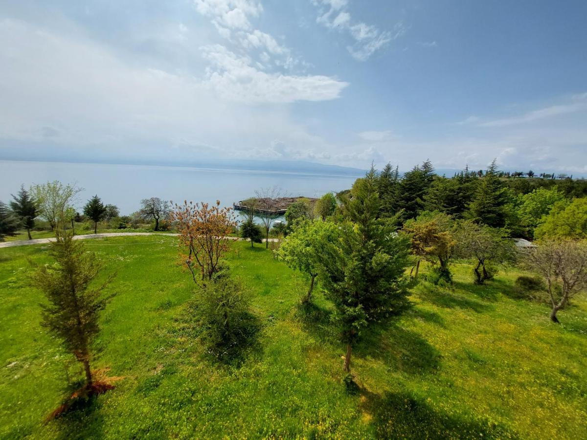 Mateski Guest House Ohrid Kültér fotó