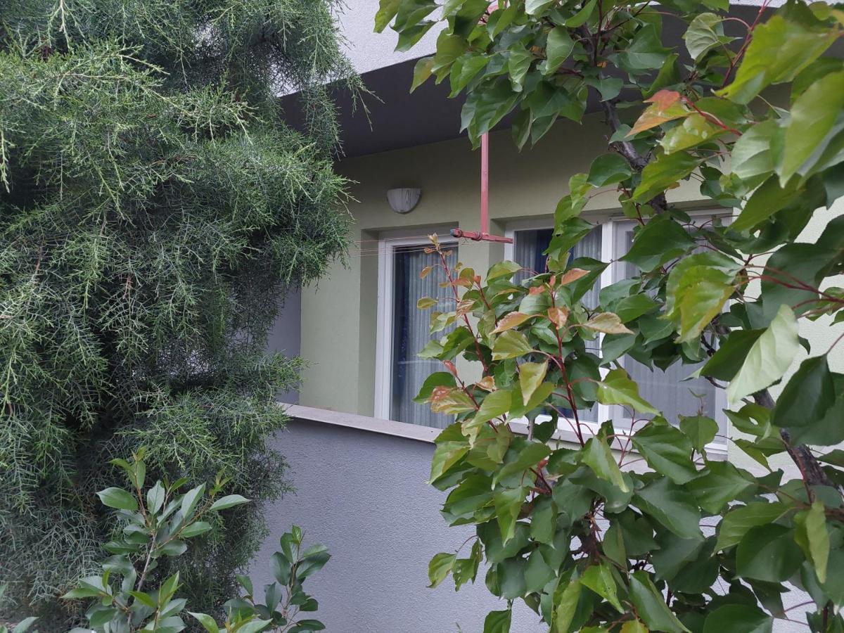 Mateski Guest House Ohrid Kültér fotó