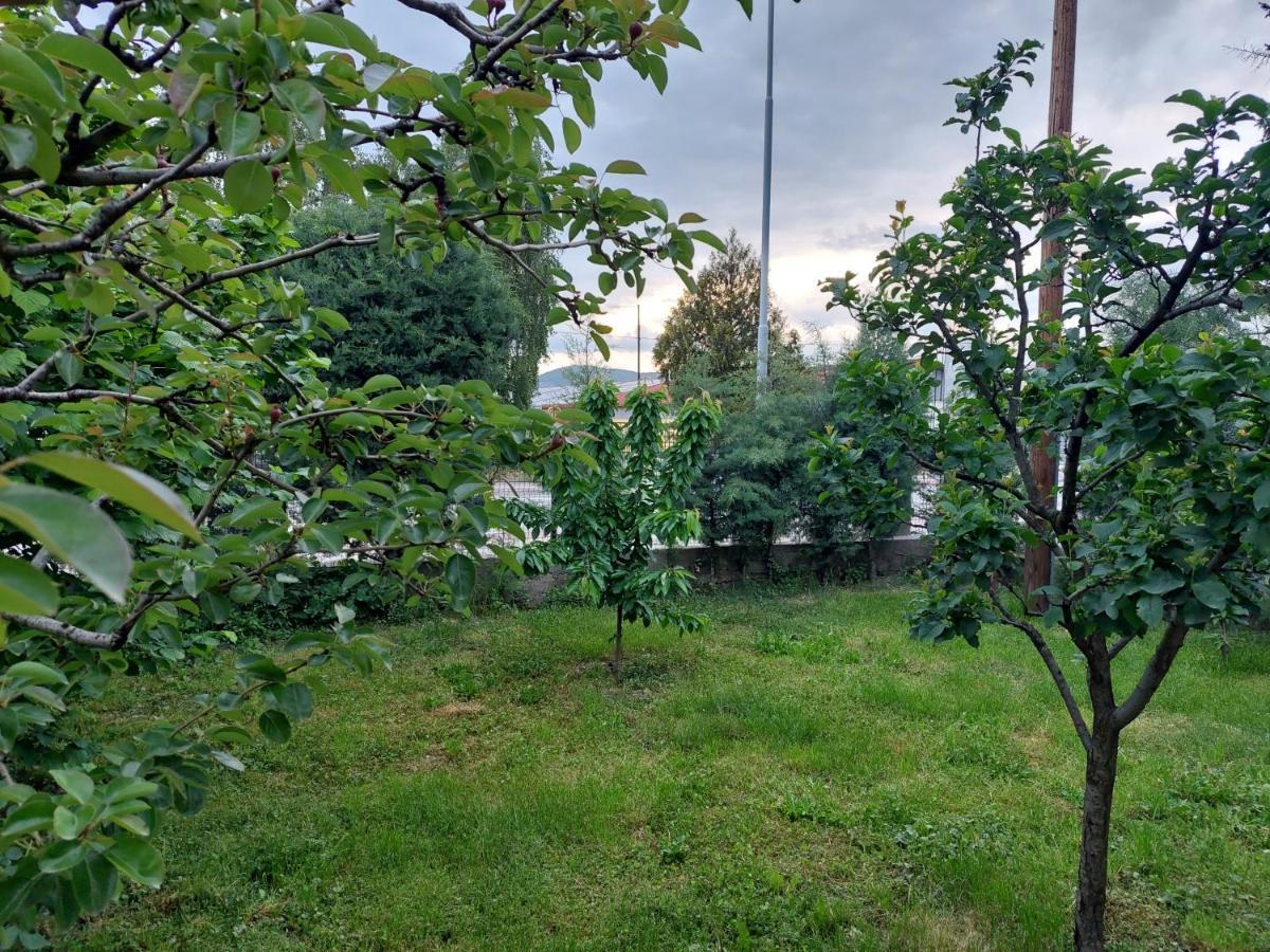 Mateski Guest House Ohrid Kültér fotó